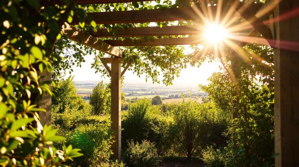 Top 5 pergolas à Ancenis pour améliorer votre jardin
